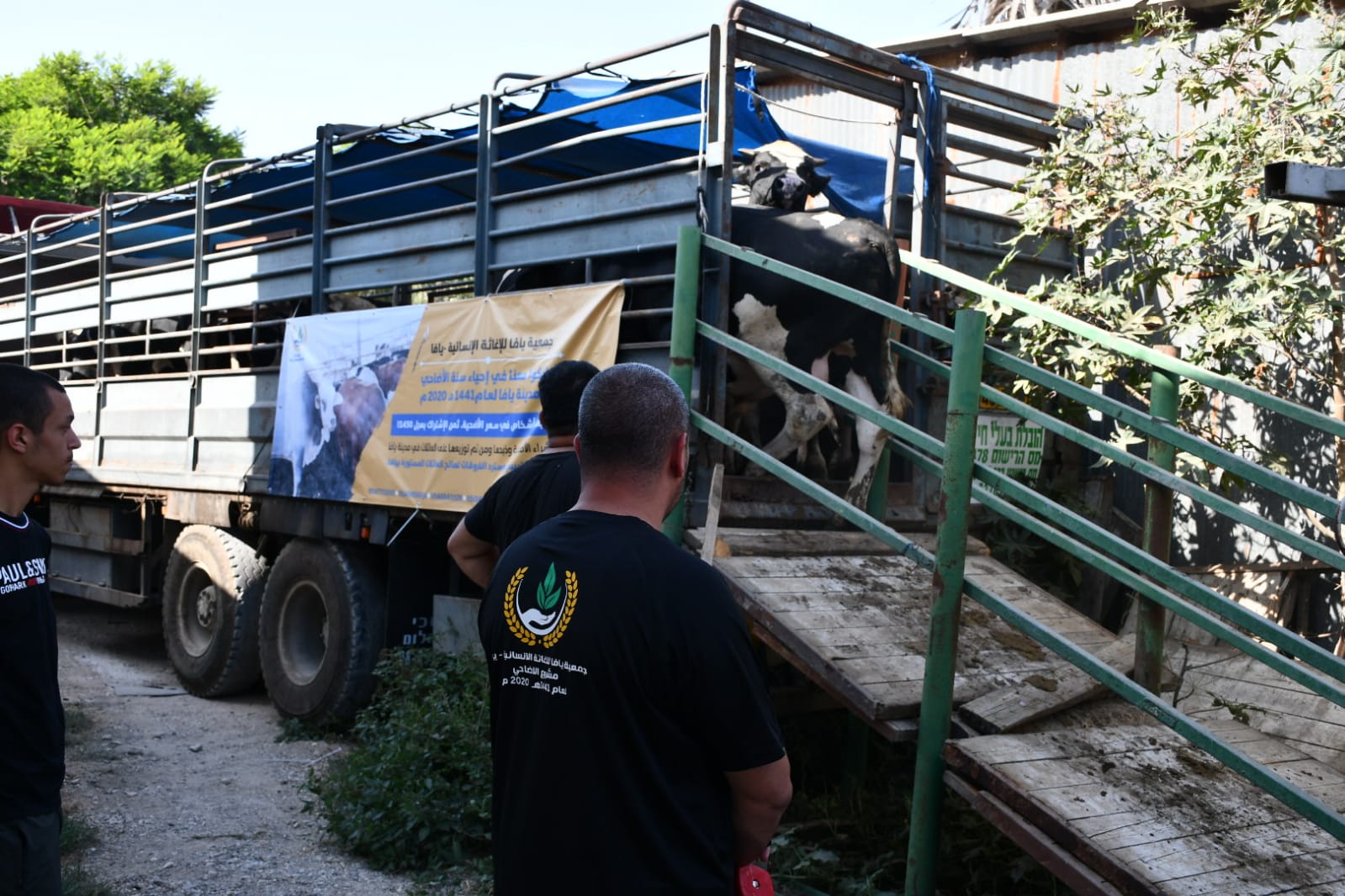 WhatsApp Image 2020-07-30 at 4.34.27 PM (1).jpeg.jpeg